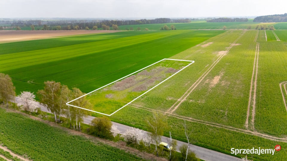 Działka z wydanymi warunkami na 2 domy w 3000m2 zachodniopomorskie Pyrzyce