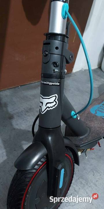 Motus scooty 85 Świecie