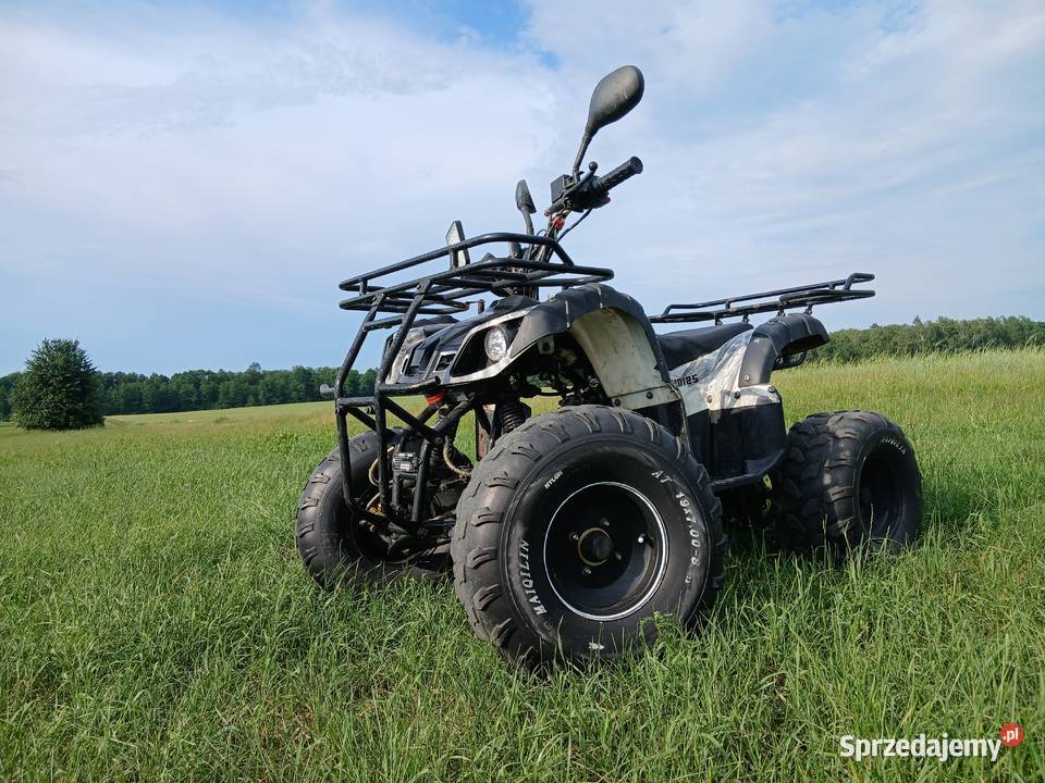 quad Zipp KID125 Czyżew