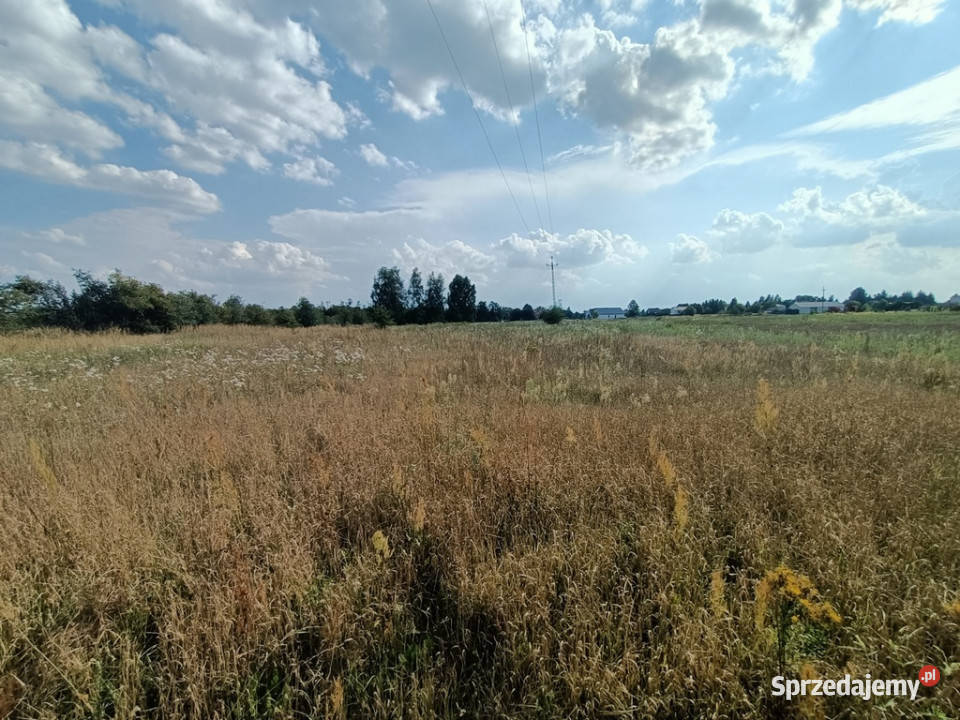 Dwie działki budowlane w Nowodworze gm Lubatów lubelskie
