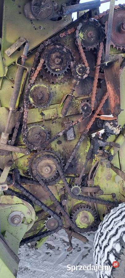 Sprzedam prase class 254 roto cut z 2007 roku sprzedam