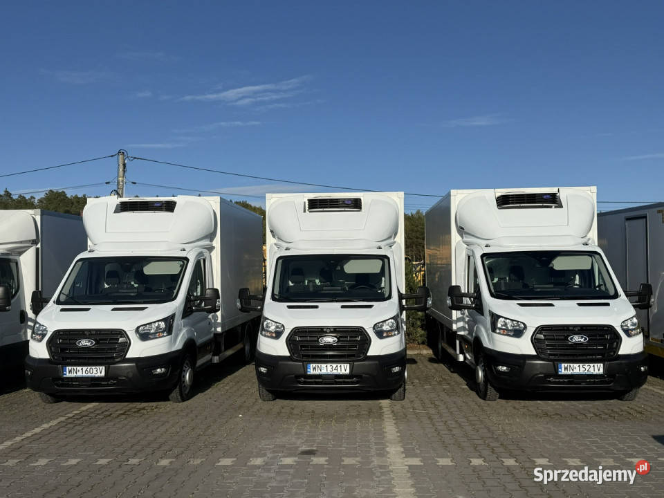 Iveco Daily 35C16 V Ford Transit ChłodniaMroźnia Rok produkcji 2025 Widełki
