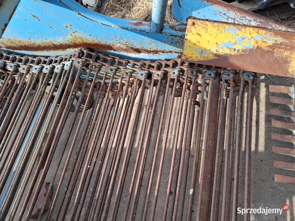 kopaczka elewatorowa Czarnocin