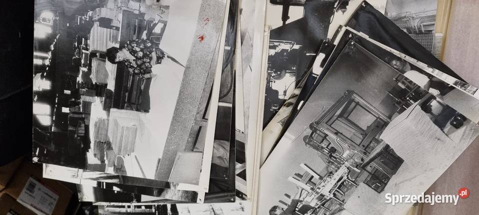 Fotograficzna kronika Dolpakartu w Chojnowie Chojnów