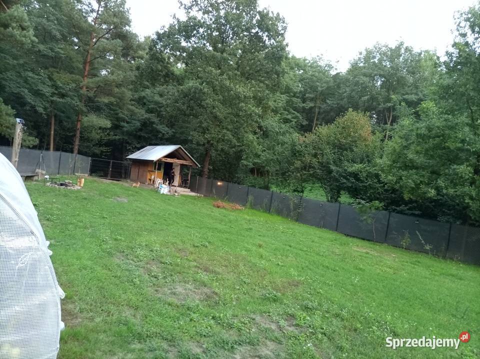 Działka rekreacyjna 7arowa Sprzedaż lubelskie Krasnystaw