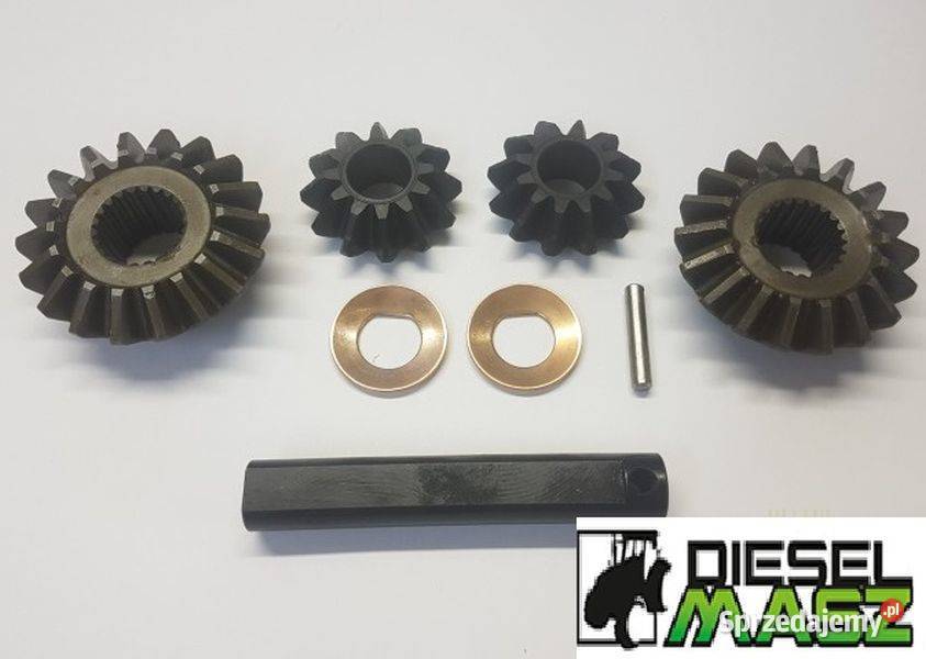 1349057C1700599A1 mechanizm róznicowy Case Zbuczyn