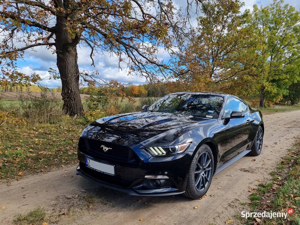 Ford Mustang V6 305