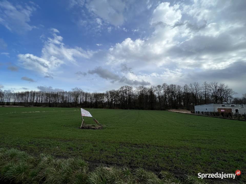 Działka rolna 5600m2 Suserz Sprzedaż sprzedam