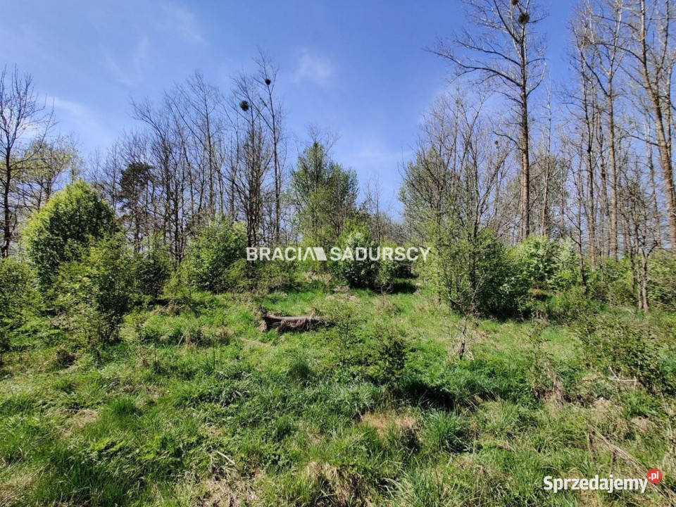 Grunt Łukta 22941m2