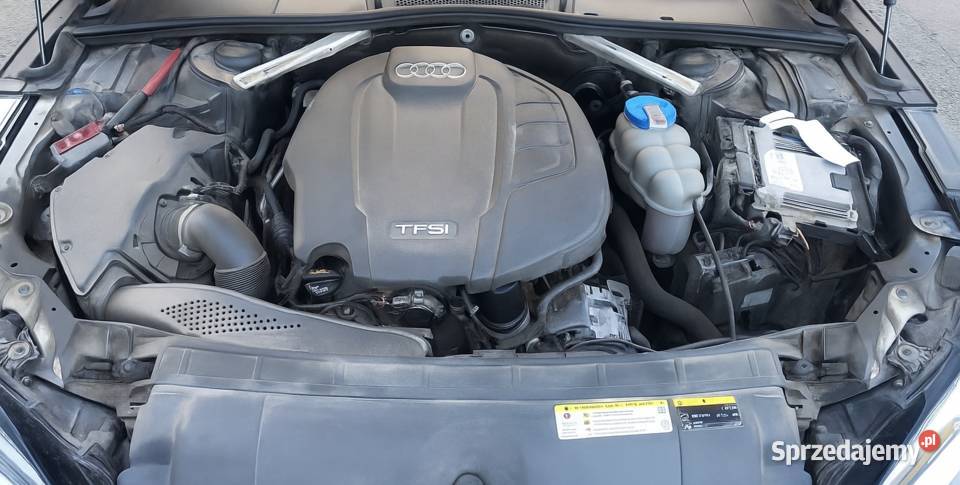 Audi A5 20 TFSI Ultra Sportback Sport Nowa Sól