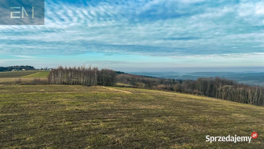 Ziemia na sprzedaż 10200m2 Gogołów