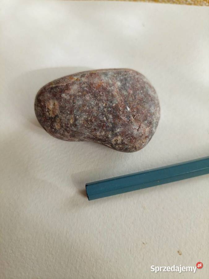 Palm stone Węgorzyno