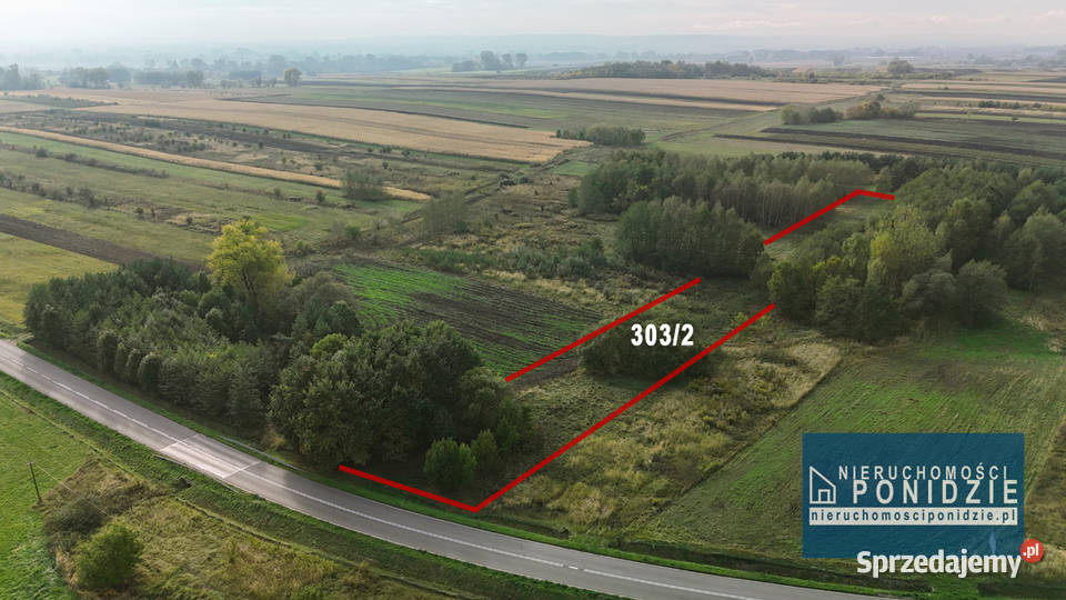 Działka rekreacyjna Łatanice kBuskaZdroju Sprzedaż świętokrzyskie sprzedam