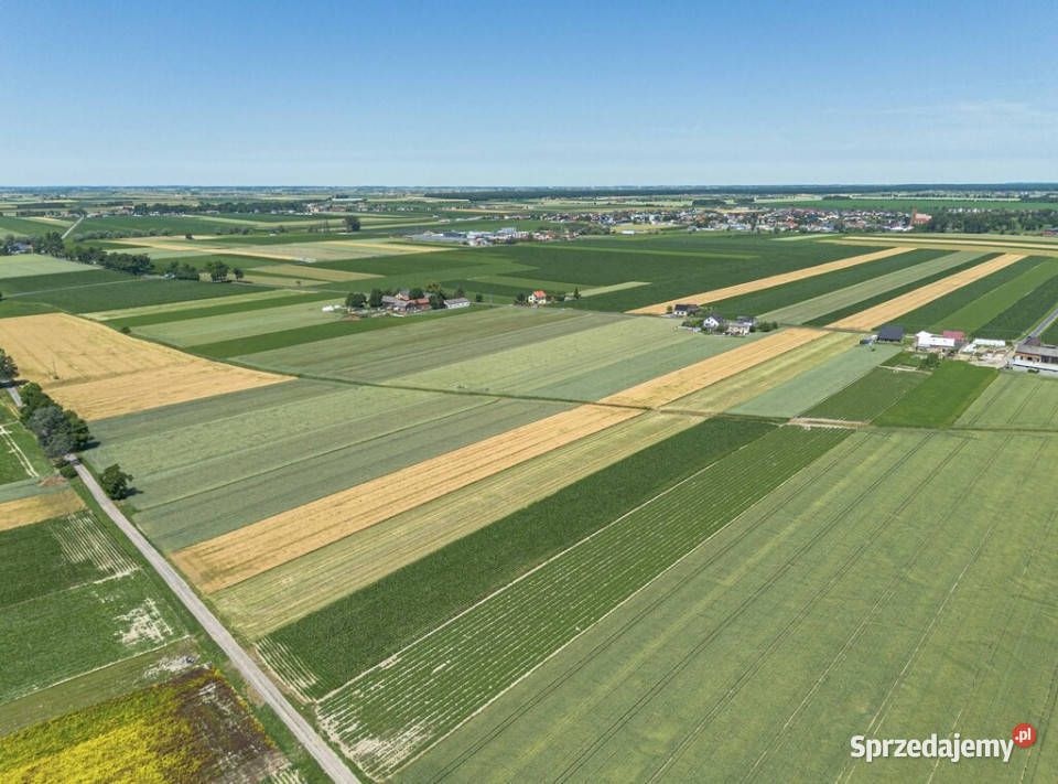 Grunty Rolne 580 Ha Magdalenki Wlkp Klasa III sprzedam