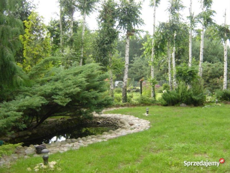 działkę rekreacyjną jeziorem zdworskim Grunty i działki Matyldów