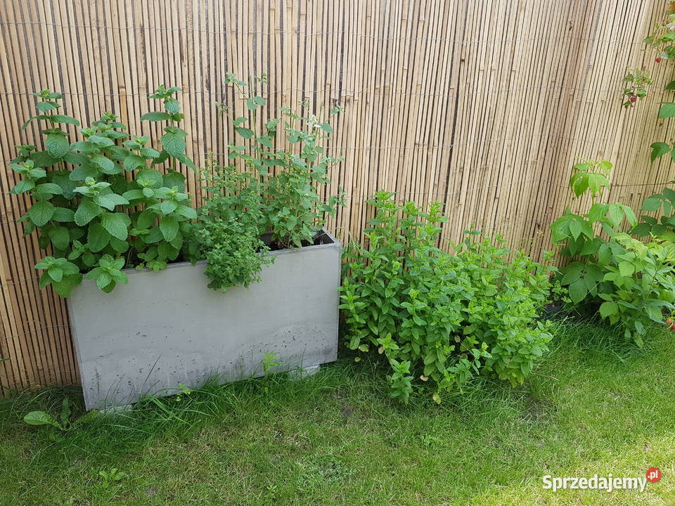 Donica betonowa 70x20x50 Impregnacja inne Rawicz