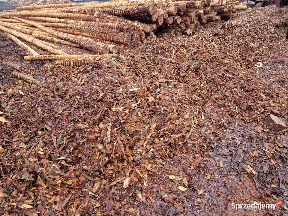 kora sosnowa luzem mieszana frakcja Dom i Ogród Krzepice sprzedam