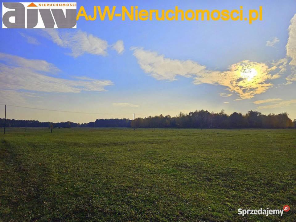sprzedaży gruntu Szymanówek 12000m2 mazowieckie