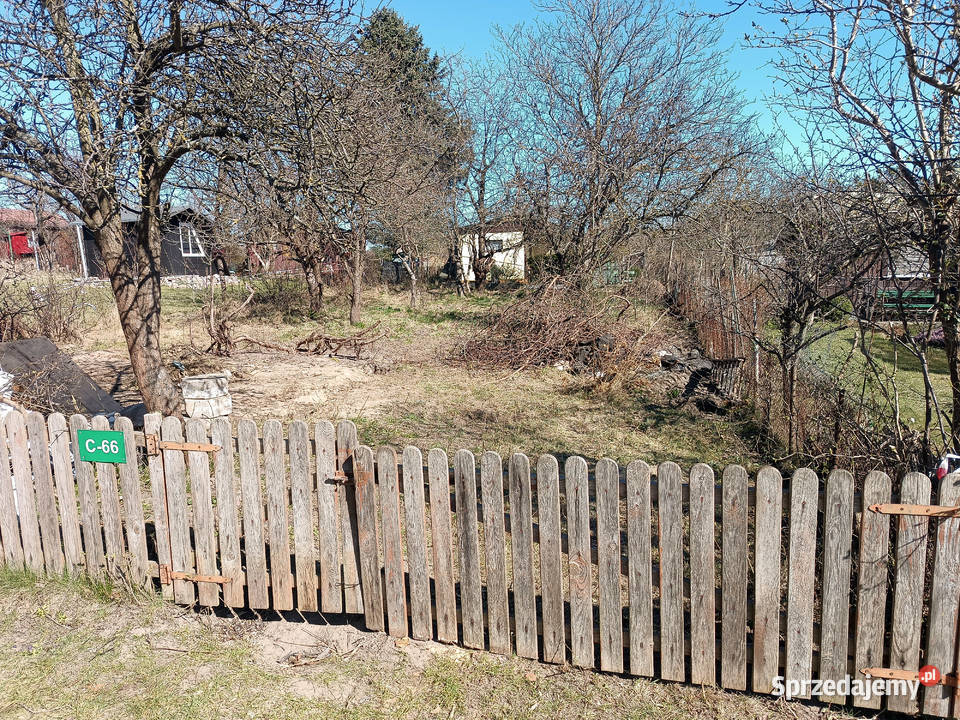 Działka ROD Przylesie obok Ikea 293m2