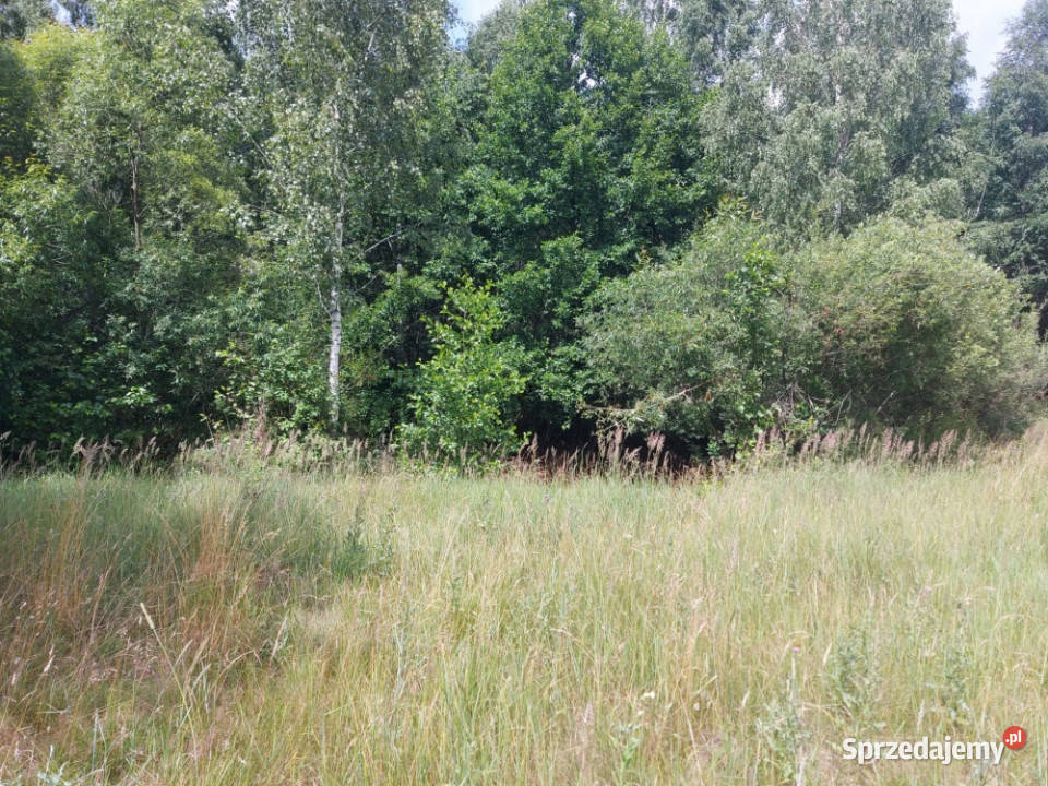 Działka 282 ha na sprzedaż Wiluki