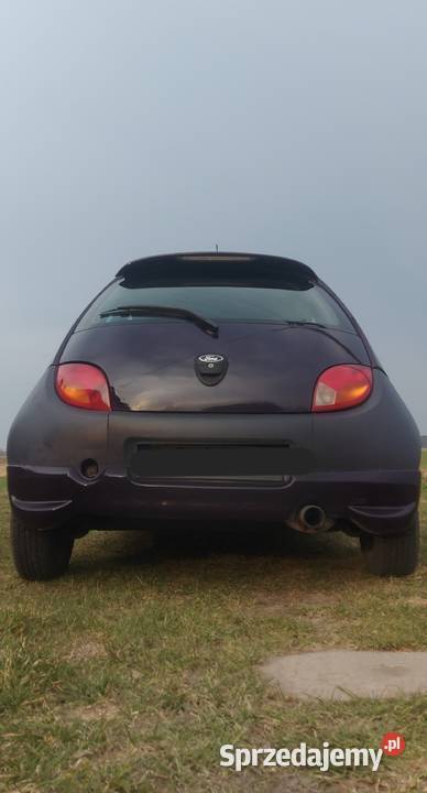 Ford KA 13 Chełm