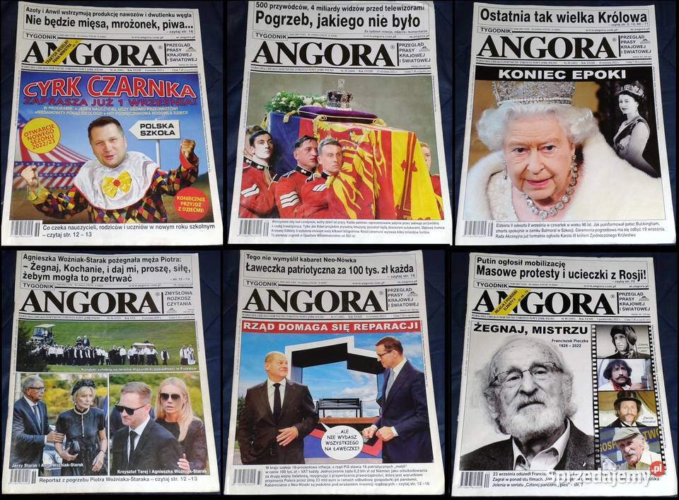 Angora 362019 36373839402022