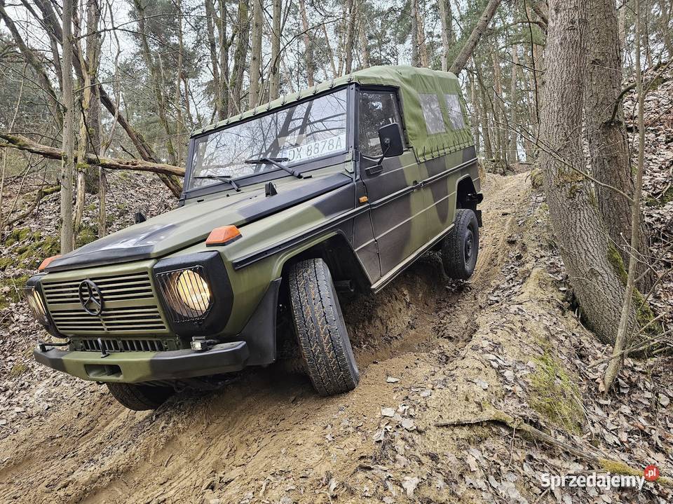 Video MercedesBenz Gklasa w4613 Wolf Długa