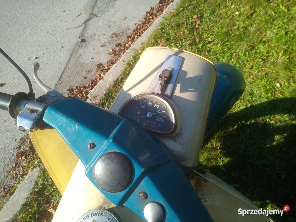 Mz Trophy Oświęcim