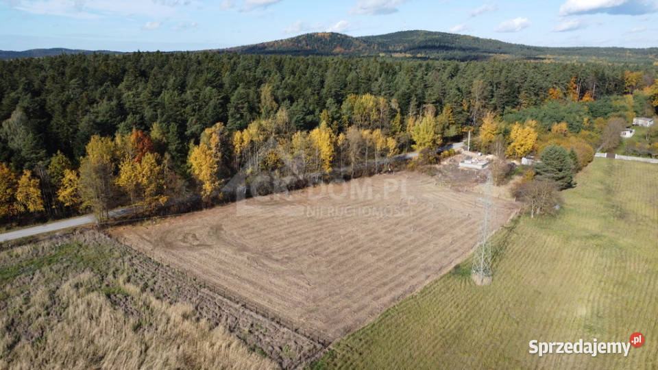 Kielce Klecka działka 1043 m2