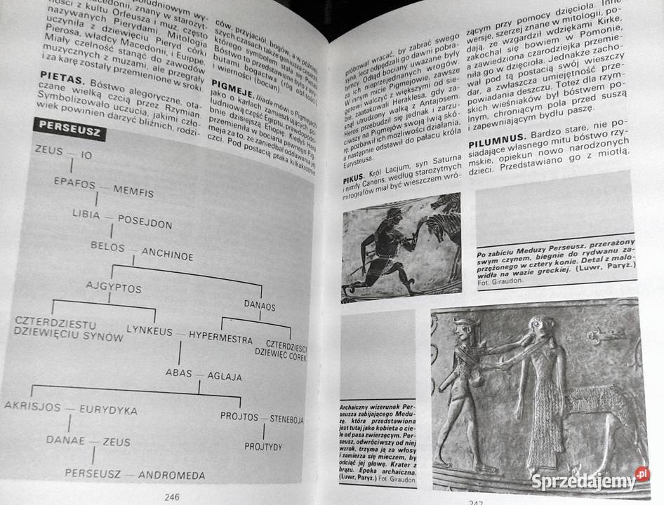 Słownik mitologii greckiej i rzymskiej Joel miękka Chełm