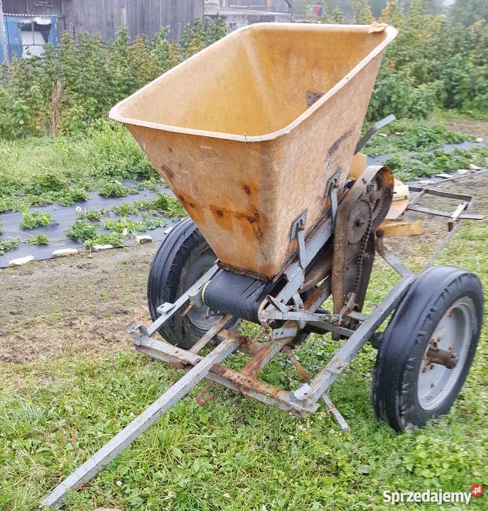 Rozsiewacz KOS małopolskie Miechów
