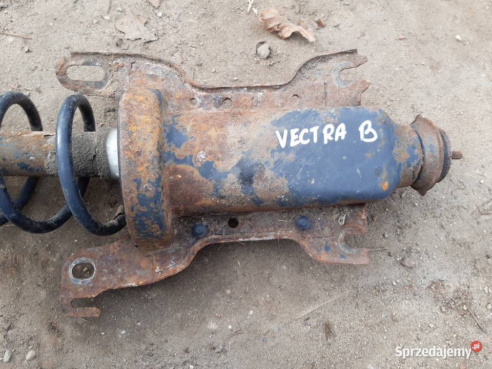 Vectra B Amortyzator tyl tylny z mocowaniem Mińsk Mazowiecki