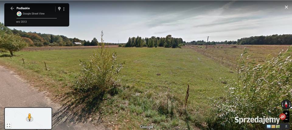 Użyczę przestrzeni pszczelarzowi Podlasie ok Warszawa