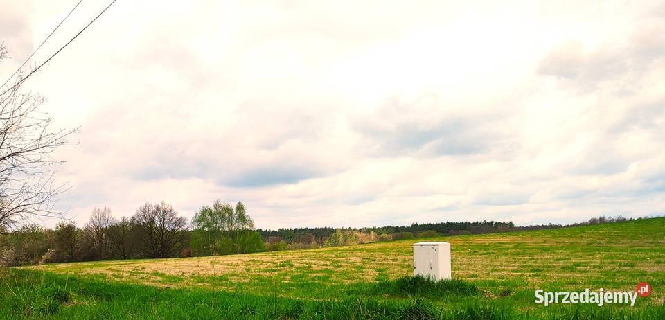Działka 1300 m2 w kształcie prostokątu dolnośląskie Golędzinów