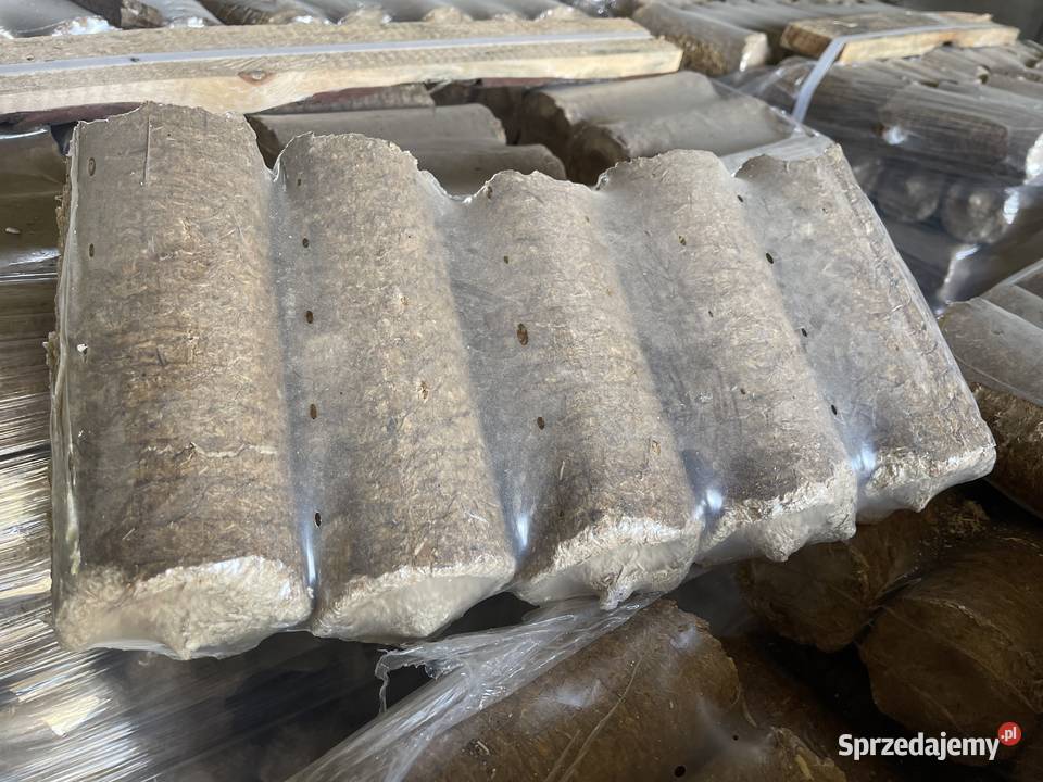 Brykiet debowobukowy wydajny paczki 6 Barlinek