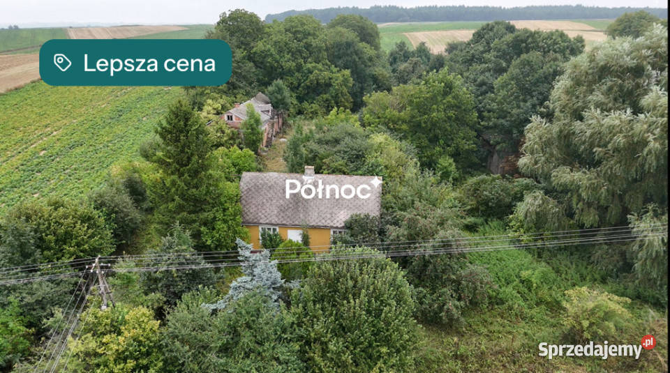 Drewniany dom z dużą działką i sademTelatyn Telatyn sprzedam
