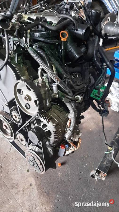 silnik kompletny 22 JTD HDI Fiat ulysse 232 4HW dolnośląskie Korzeńsko sprzedam