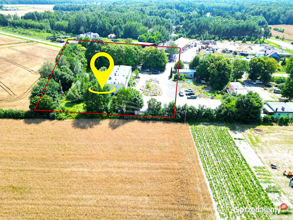 Działka na sprzedaż z budynkami produkcyjnymi Sprzedaż lubelskie Świerszczów-Kolonia