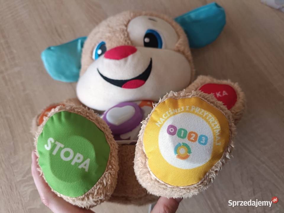 Szczeniaczek Uczniaczek Fisher Edukacyjne pomorskie Kwidzyn