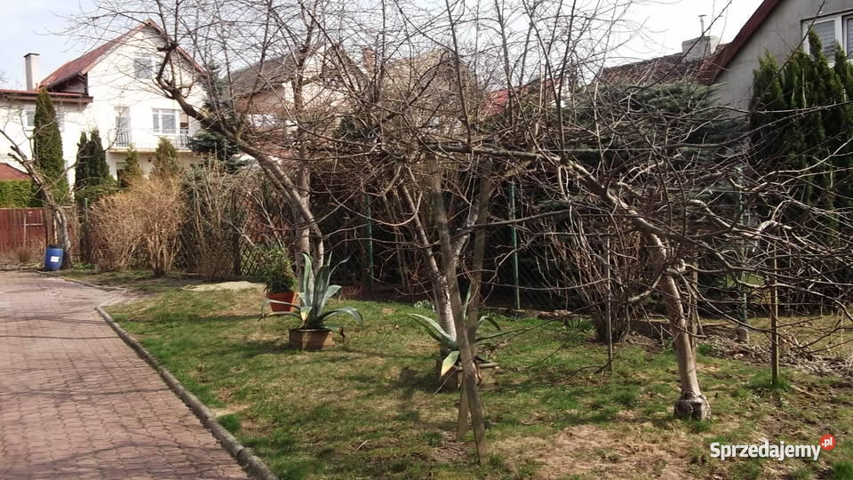 ELBLĄG DOM BLIŹNIAK WIŚLICKA 140 M2 5 POKOI DZIA balkon Elbląg