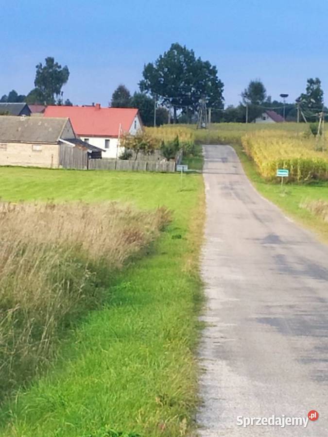 PODLASIE 127ha WZ na 4 domy jednorodzinne podlaskie