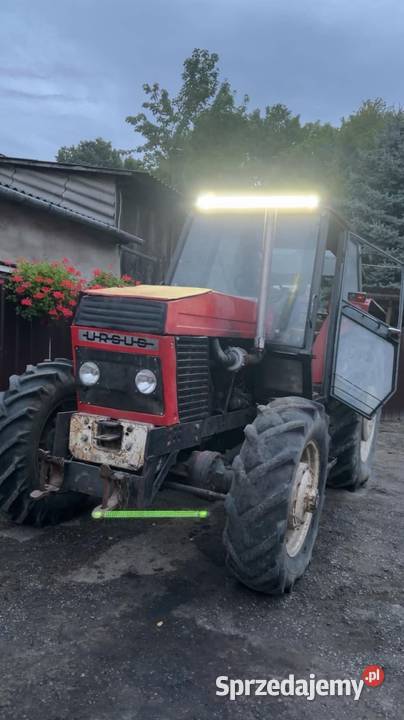 Ursus 1004