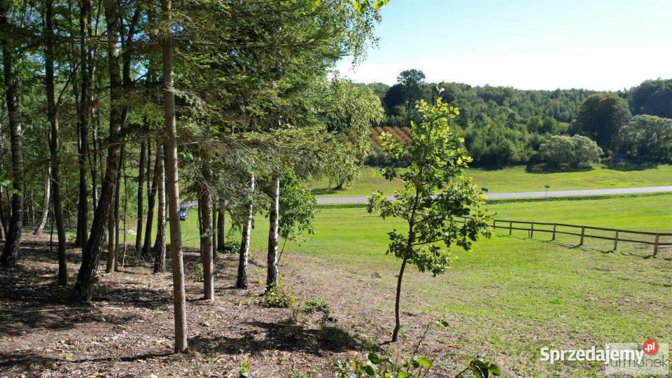 sprzedaży działki TeodorówkaKolonia 4182m2 Grunty i działki lubelskie Teodorówka-Kolonia sprzedam