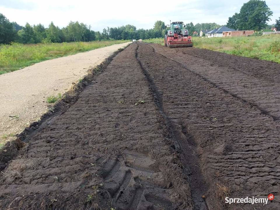 Wycinka drzew Mulczowanie Frezowanie Karczowanie Jędrzejów prace ogrodowe