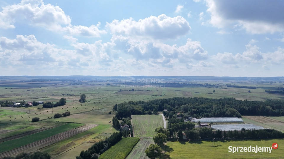 działka inwestycyjna 128 ha Barchaczów Łabunie lubelskie
