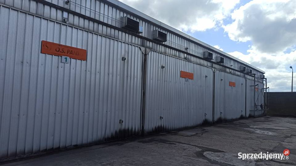 3 komory suszarniane PANTO Kłodawa