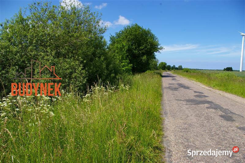 Działka rolna Jeżyce 10zł/m2