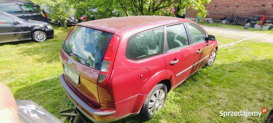 Ford Focus Mk II 2 2004r klima benzyna SPRAWNY Focus Środa Śląska