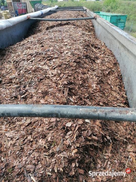 Kora sosnowa luz ilość i hurtowe cała polska Poznań