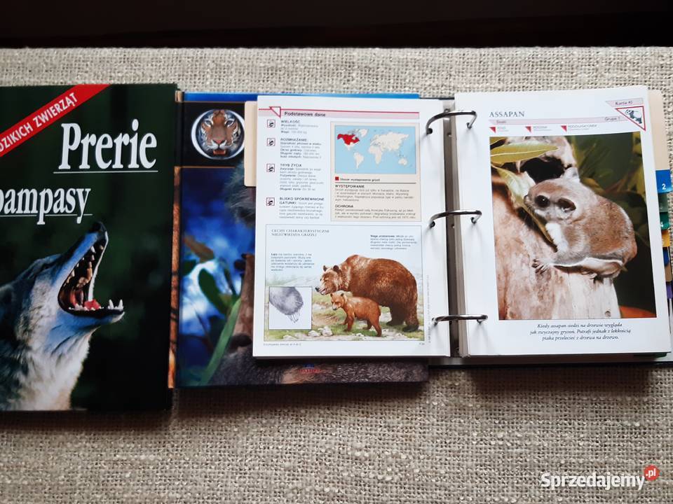 Plus Segregator z kartami zwierząt 2 Albumy małopolskie Kraków